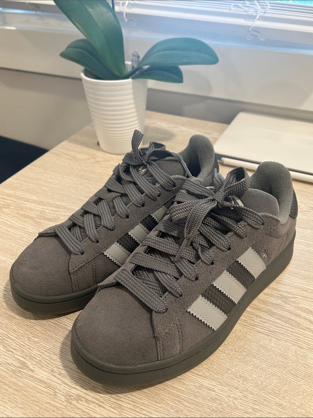 Adidas grey campus shoes, suede with bulky silhouette, not in original box